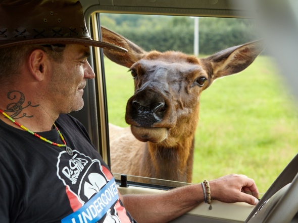 Offroad safari