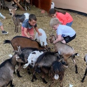 Kontaktní ZOO s minikozičkami