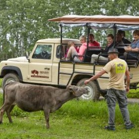 Vouchery na OFF ROAD jízdu