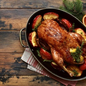 SVATOMARTINSKÝ VÍKEND NA SAFARI