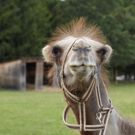 Mimosezónní VSTUPNÉ od 30.9.2022.