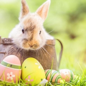 Velikonoční SAFARI 8.4.2023