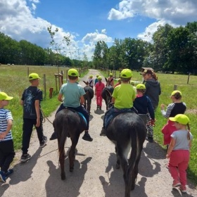 Poslední volná místa na příměstské tábory!