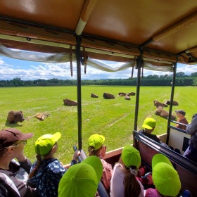 ZÁJMOVÉ KROUŽKY NA SAFARI pro rok 2025/2026