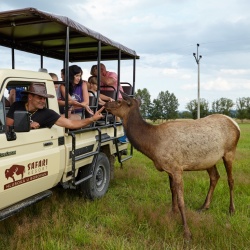 Offroad Safari | Safari Park